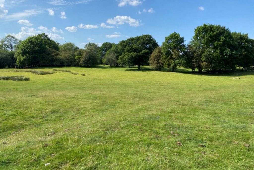 Land at Bridge Green | Meller Speakman