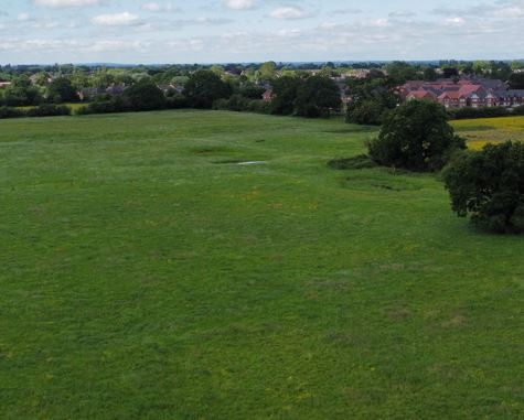 Callwood | Meller Speakman