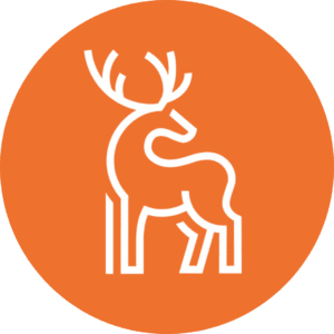 Picture of Sarah Carden