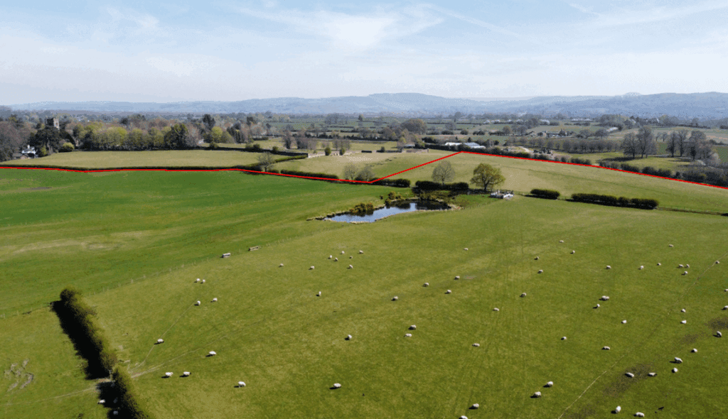 East of Harrington Arms - Red Line Photo