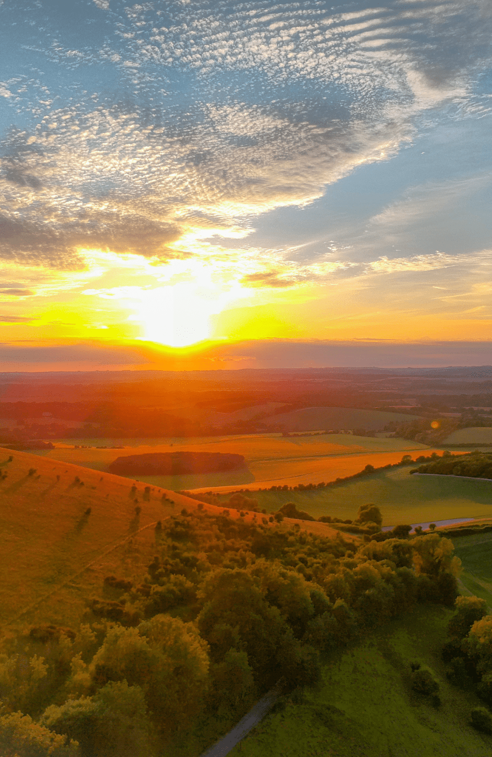 Homepage - sunset | Meller Speakman